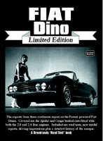 Fiat Dino Limited Edition